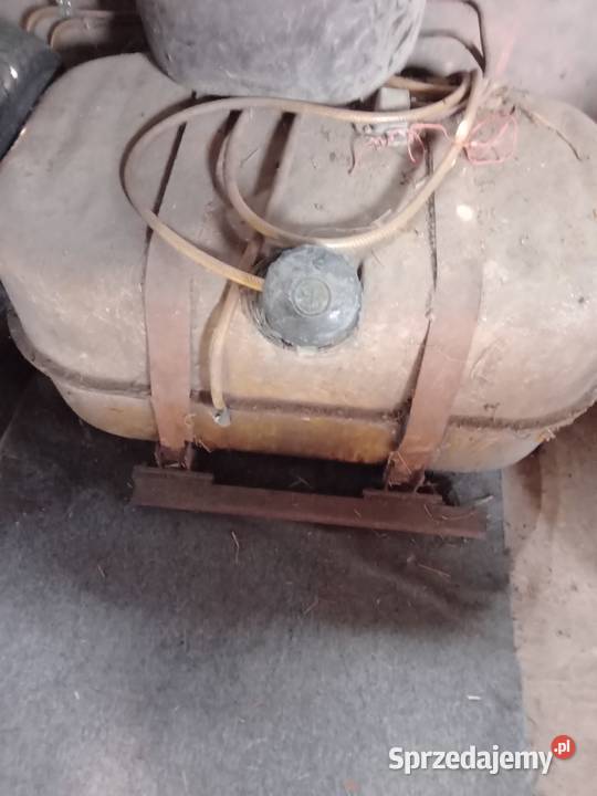 Banki baniaki beczmi Łopuszno