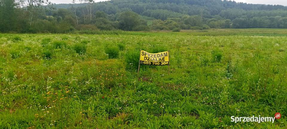 Działka rolna 80 ar Sprzedaż Tarnawa Górna