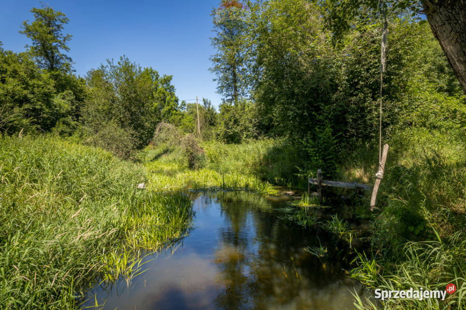 Dom z furtką do lasu natury i cywilizacji