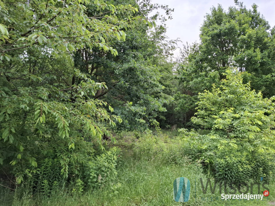 sprzedaży działki 1370m2 Kobyłka Ks Władysława sprzedam
