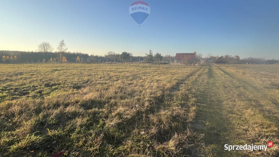 Działka budowlana Sprzedaż Józefów gm Pniewy sprzedam