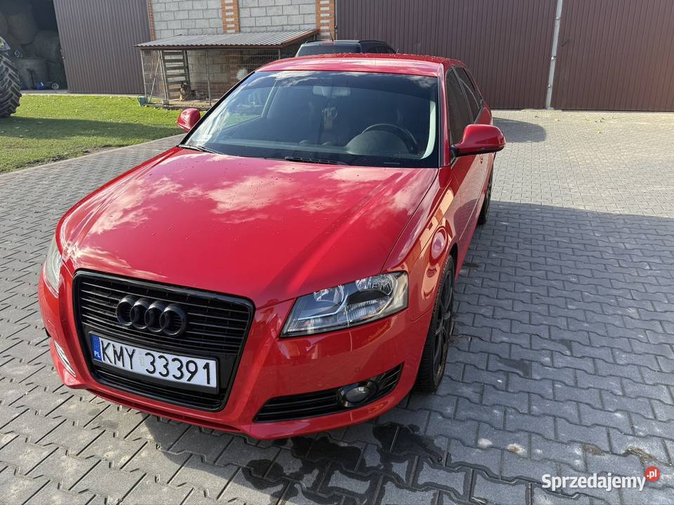 Audi A3 8P lift 2010 Wojsławice