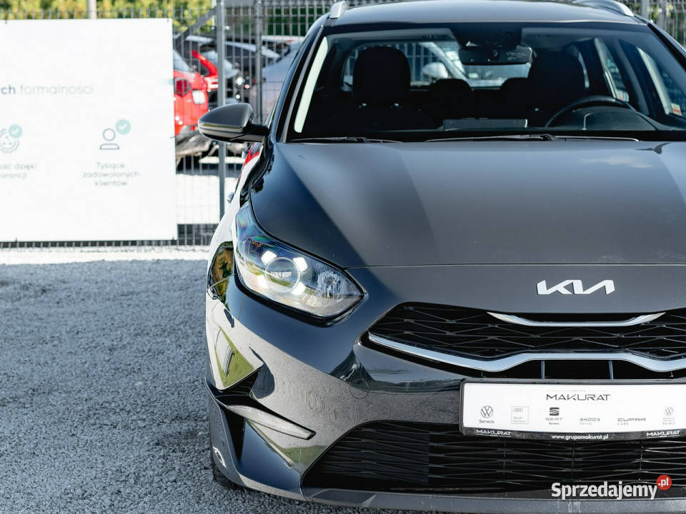 Kia Ceed WND7541C15 TGDI M DCT 2 stref klima Gdańsk