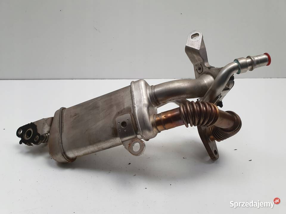 Renault Kangoo II 15 DCI CHŁODNICA SPALIN osobowe lubelskie Rudka