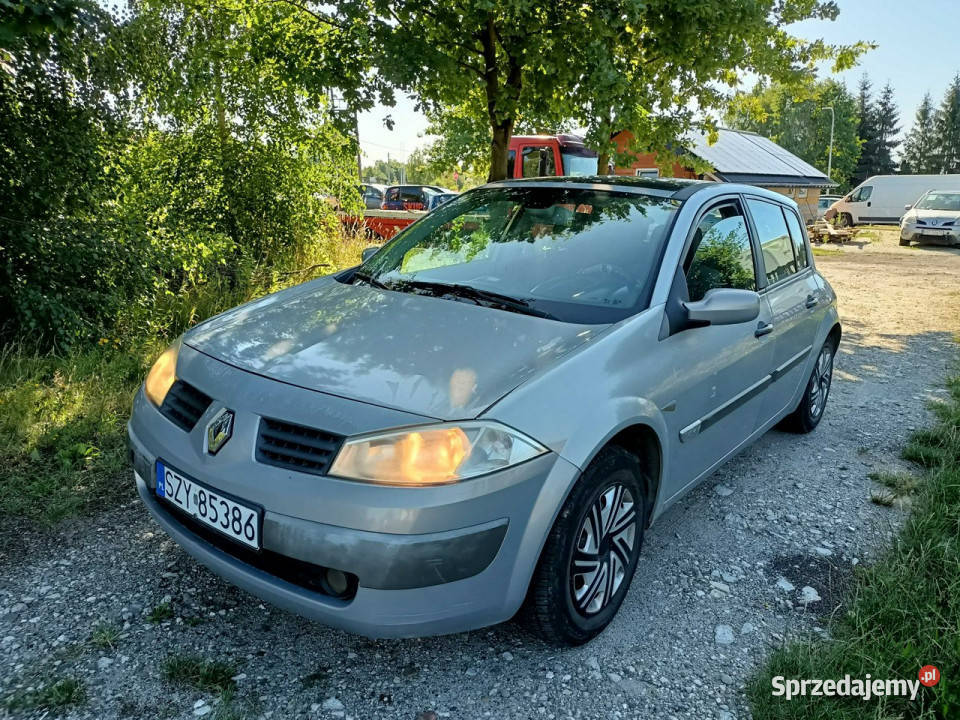 Renault Megane Renault Megane 16 bg 04r II
