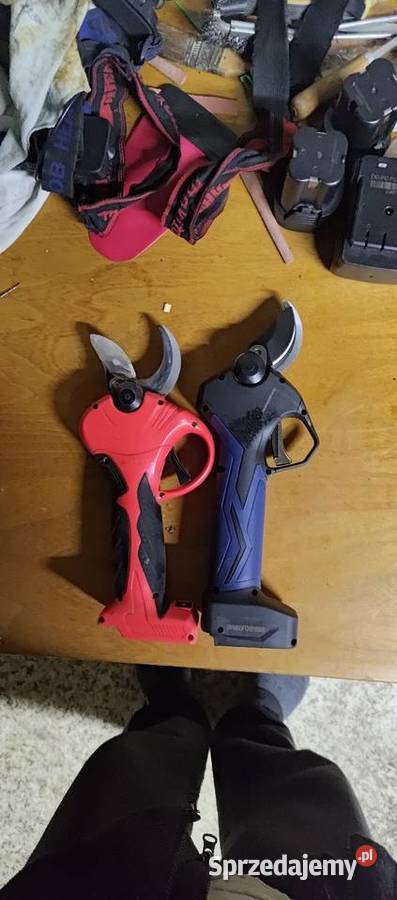 Sekator elektryczny Swansoft Sandomierz