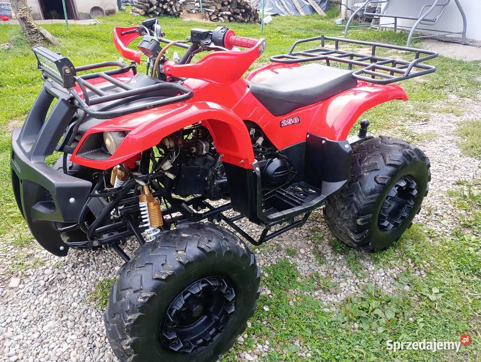 Quad 250 nieuszkodzony