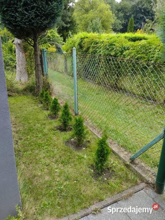 Sprzedam Ogródek Działkowy Piekary Śląskie sprzedam