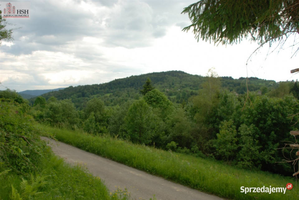 Do sprzedaży działka 14000m2 Żarnówka 14000m2 Sprzedaż