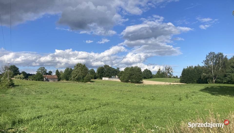 Duża działka budowlana puszczy Jurkowo sprzedam