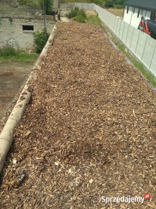 Zrębki Zrębka Leśna na podsypkę kompostowa Chmielno