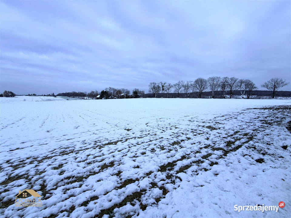 sprzedaży działki 1000 metrów Dębowiec śląskie sprzedam