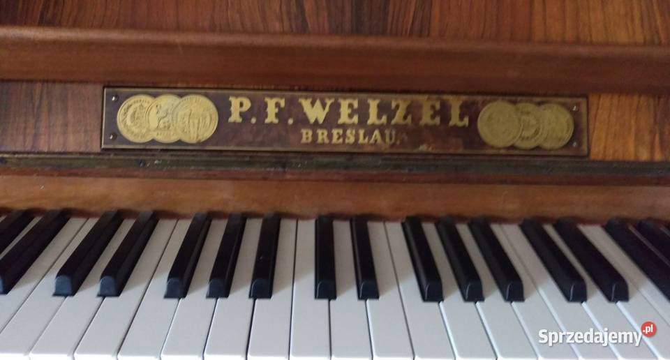 Pianin Welzel Breslau Niemodlin