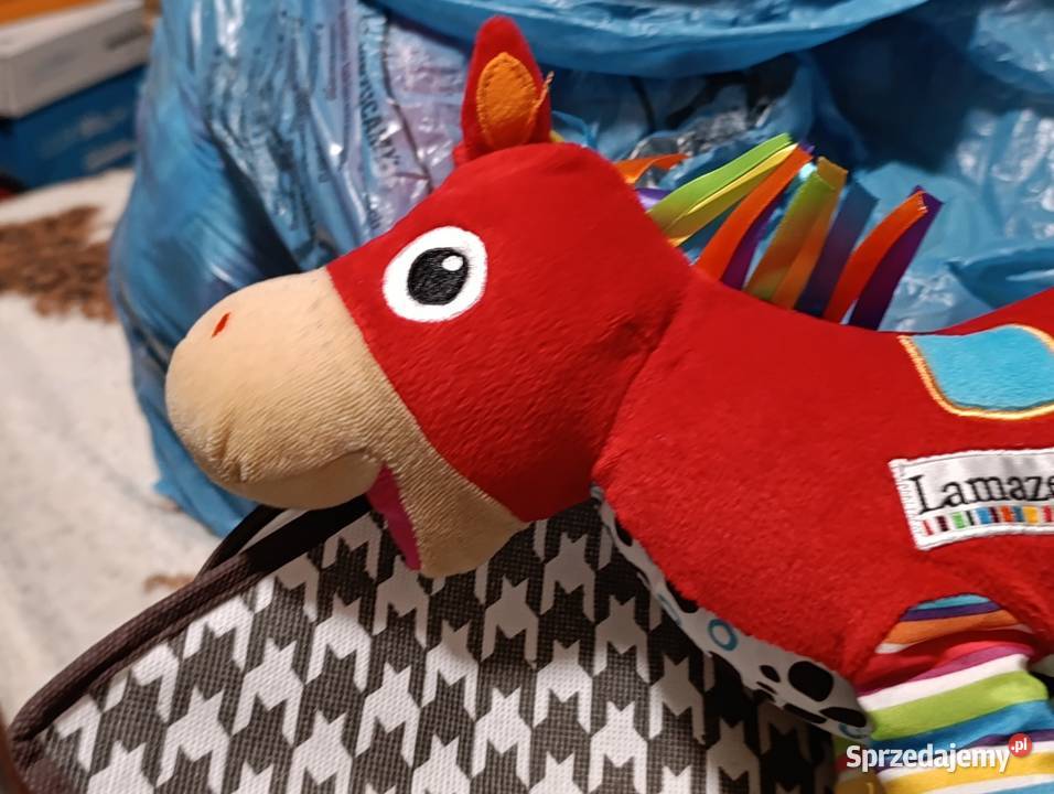 sensoryczna zawieszka Galopujący Poznań