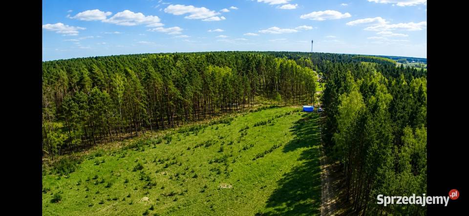 Działka budowlana 1095M2 WZ BRZÓZA 100zł/m2 Brzóza