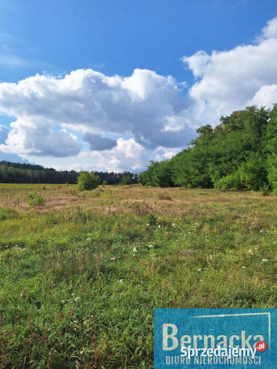 Działka budowlana Domanice