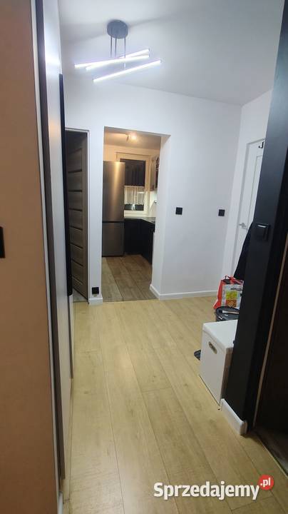 Wynajme mieszkanie 3 pokojowe 48m2 Zielona 48m2 Wynajem Starogard Gdański
