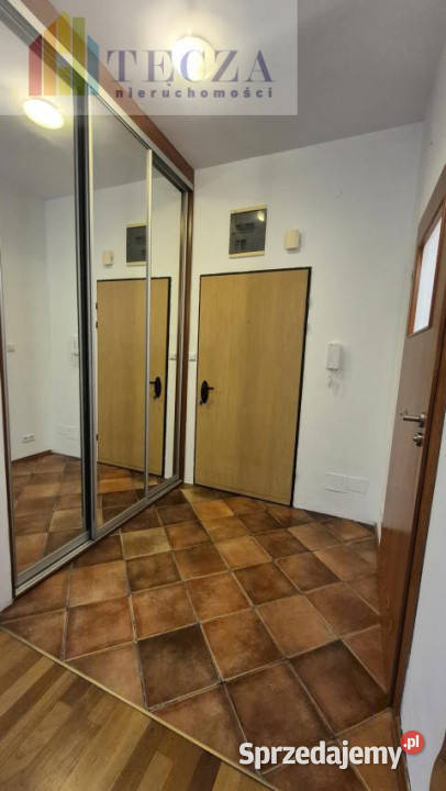 Ogłoszenie mieszkanie 42 metry 2 pok Warszawa Wynajem sprzedam