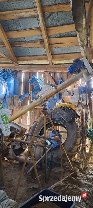 żmijka do zboża 220 volt stan 7 metry Wojsławice