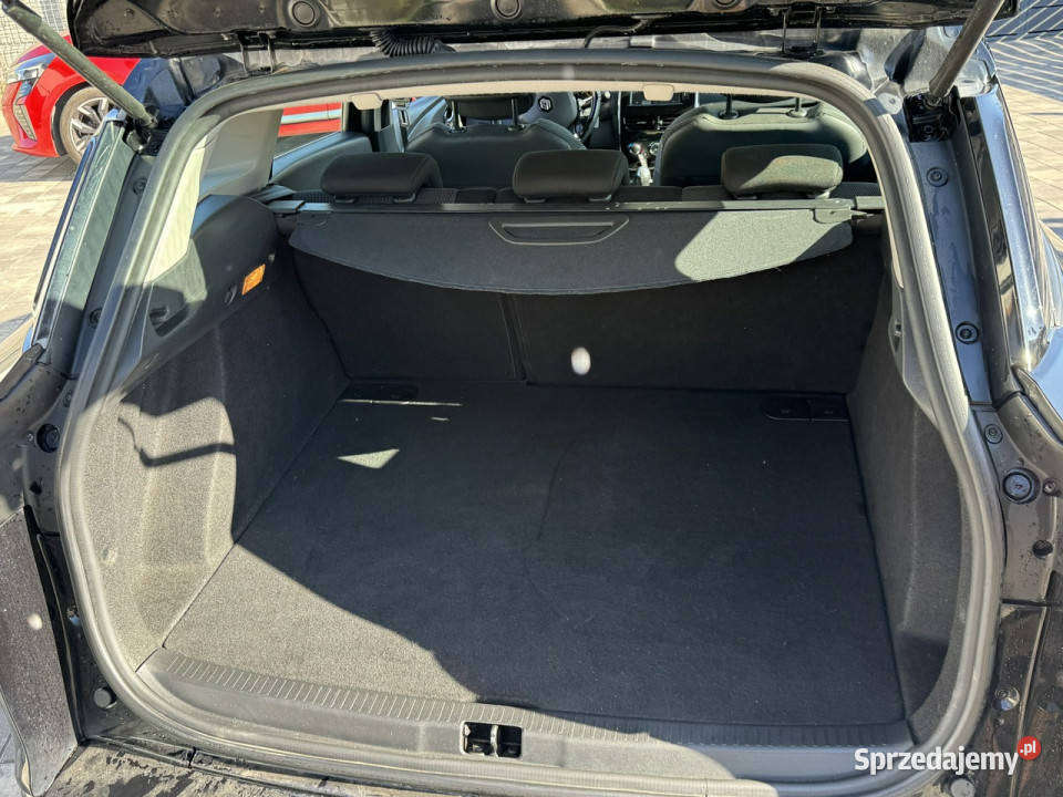 Renault Clio Clio W Stanie Już Zarejestrowany IV Clio