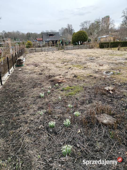 Działka ROD Parkiem w Pile Piła