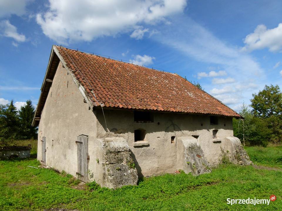 Mazury Dom 059000 ha 325000 Żabin sprzedam