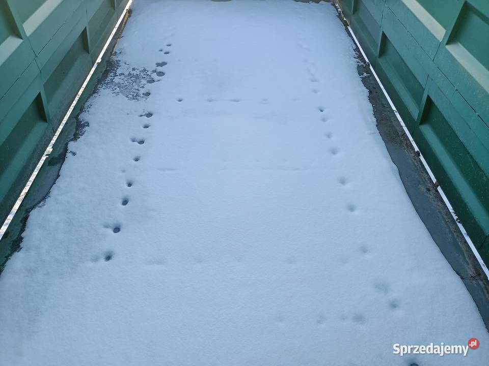 Przyczepa wywrotka nieuszkodzony Przyczepy rolnicze Radziejów