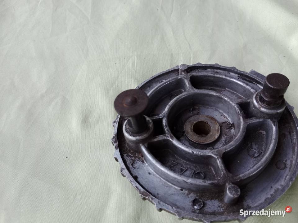 Szczękotrzymacz do rysia mazowieckie