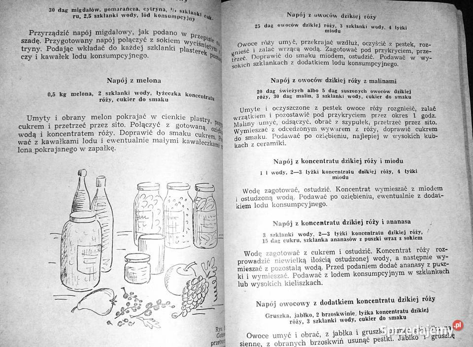 Napoje domowe Zofia Zawistowska Chełm