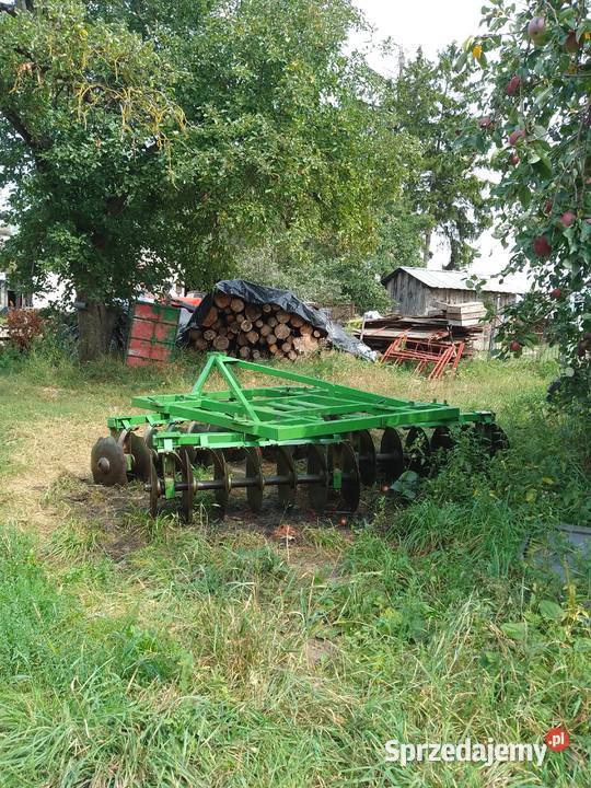 Talerzówka Augustów