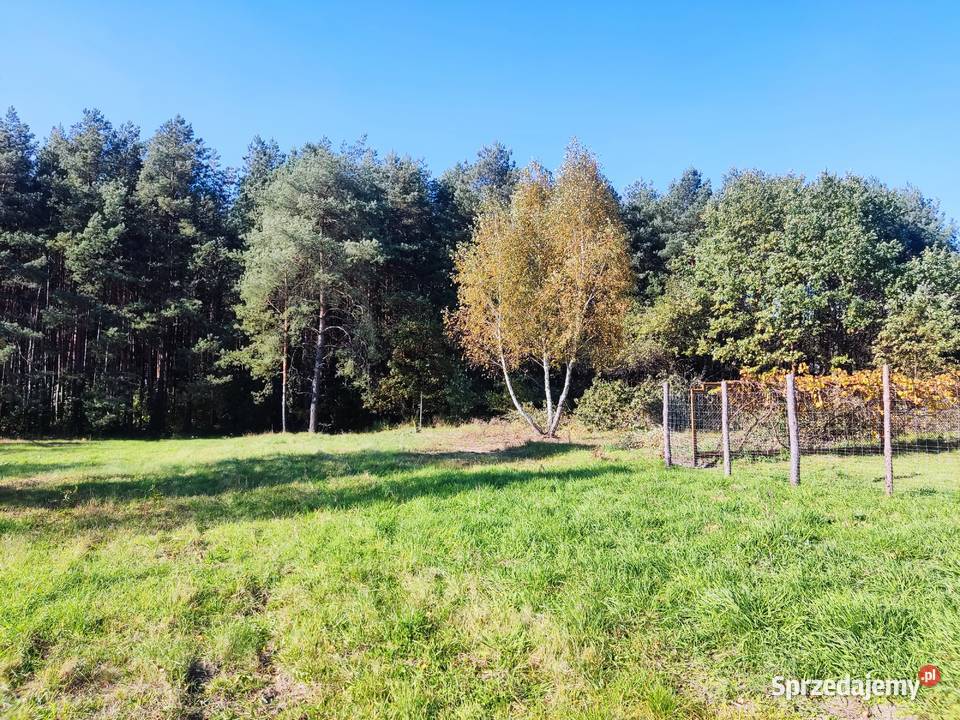 Działki budowlane 8001330m2 Grębiszew koło Mińsk mazowieckie