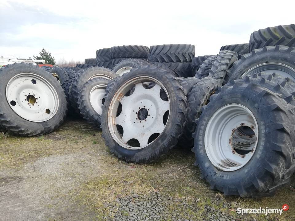 Koła wąskie Holland Holland koła wąskie Osła sprzedam