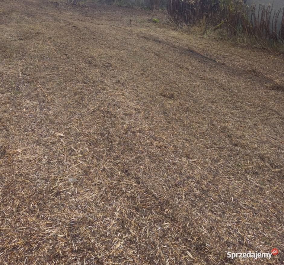 Koszenie trawy nieużytków ugorów zarośli Trojanów