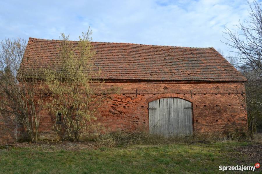Dom na wsi Ślubów 3 bud gosp duża działka dolnośląskie Góra sprzedam