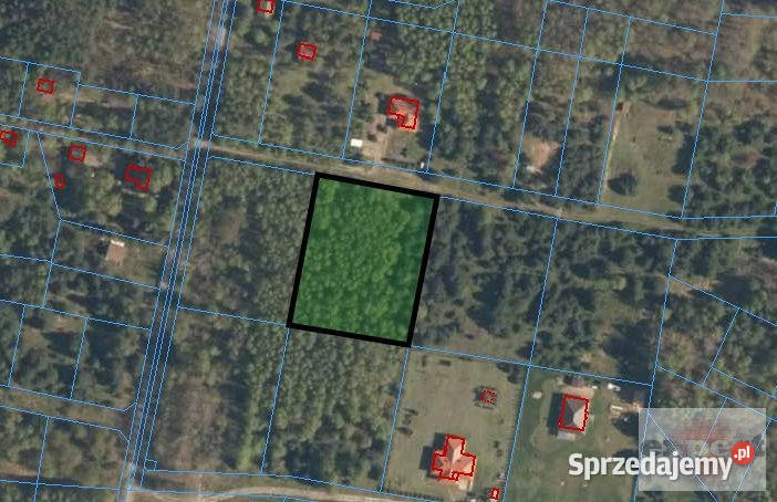sprzedaży działki 4209m2 Wodzierady łódzkie