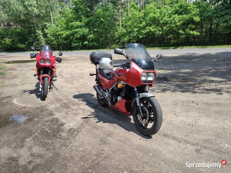 Triumph Tiger 900 Częstochowa