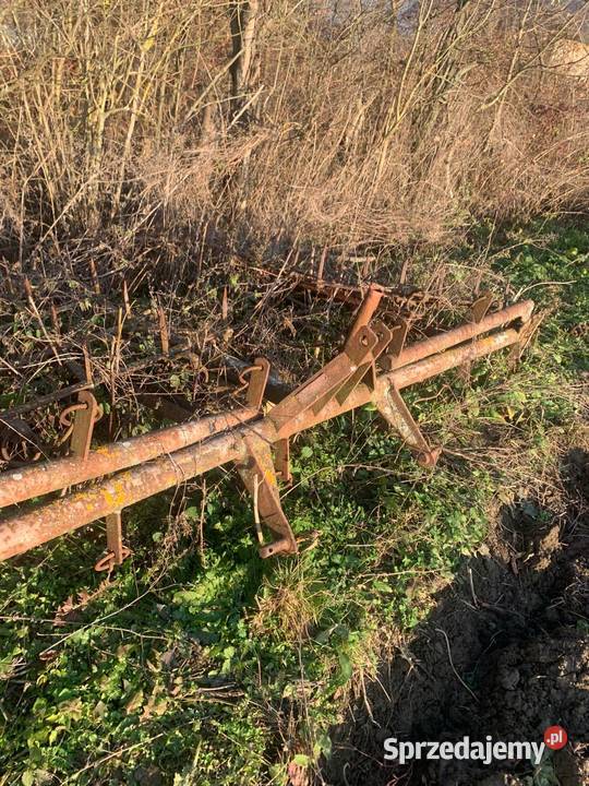 Brony 5 polowe lekkie Dąbrowa Tarnowska sprzedam