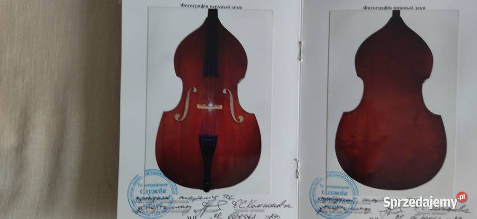Kontrabas drewniany Moskiewski 44 z Filharmonii Instrumenty smyczkowe Jędrzejów