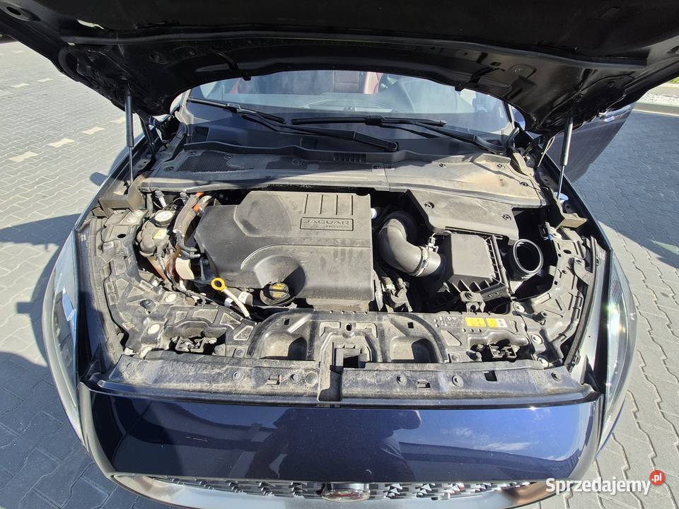 Syndyk sprzeda JAGUAR EPace 20 MR21 E6d WF3346X mazowieckie Warszawa
