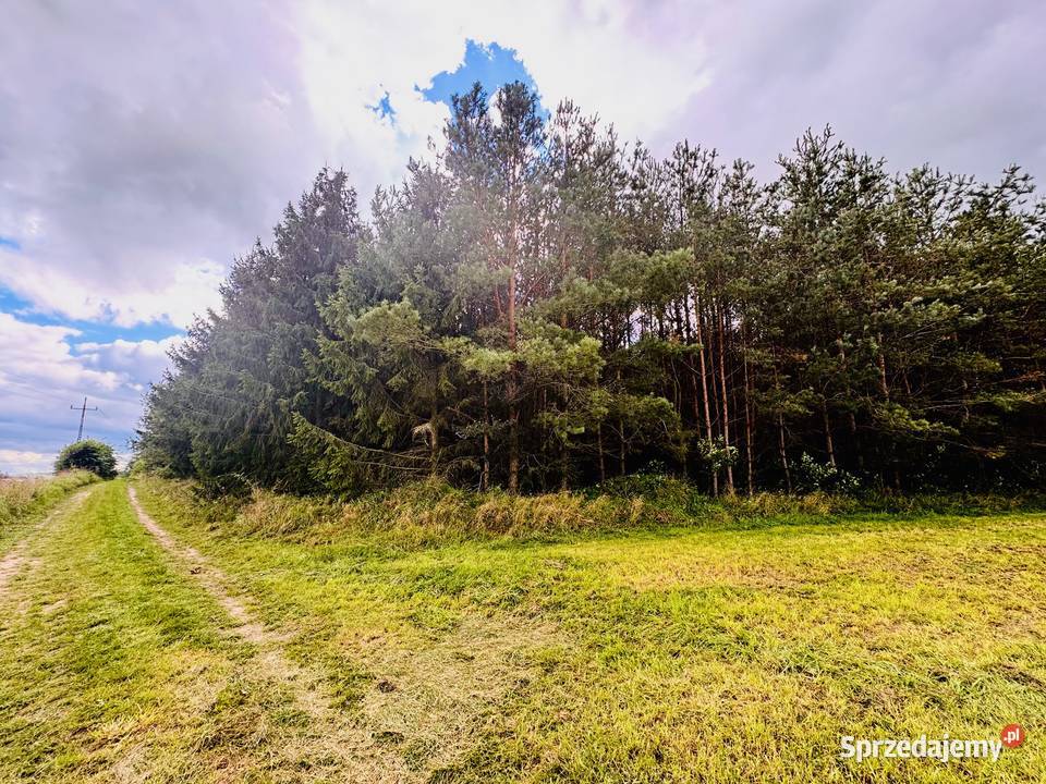 Drygały piękna działka 14 ha w otoczeniu lasów i