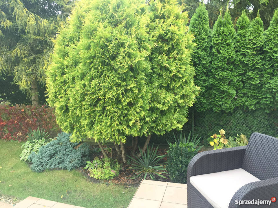 Działka jeziorem wysoki standard Wierzchucinek