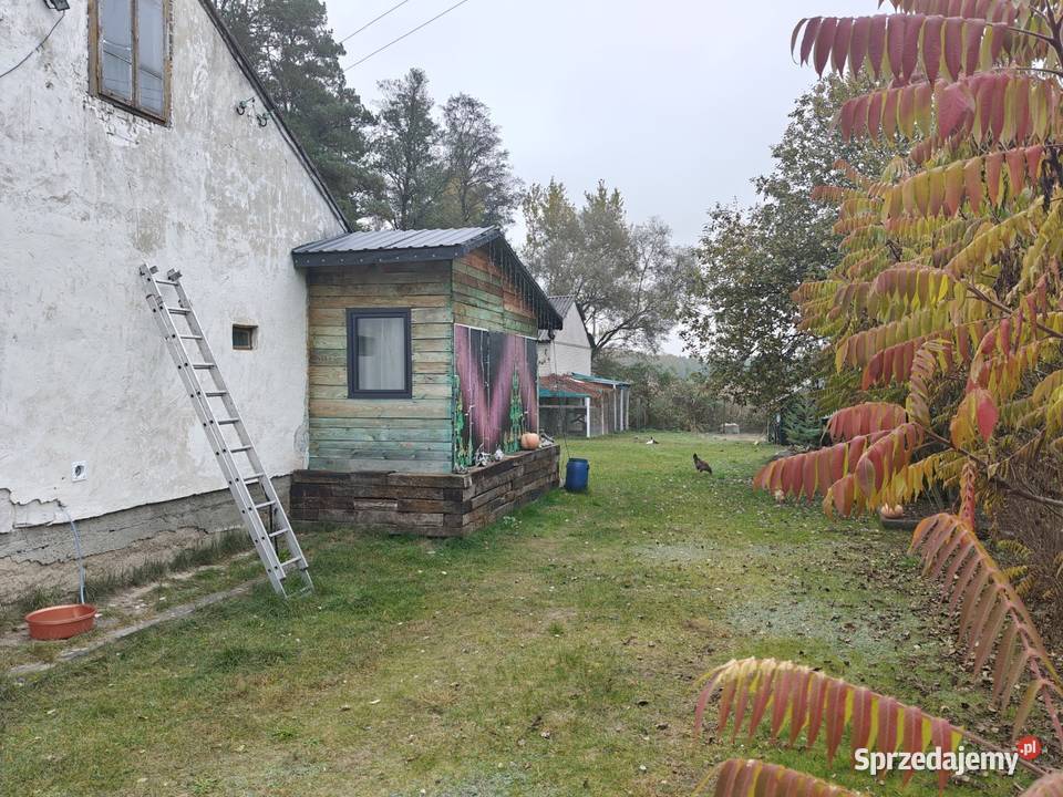 Syndyk sprzeda Karolew