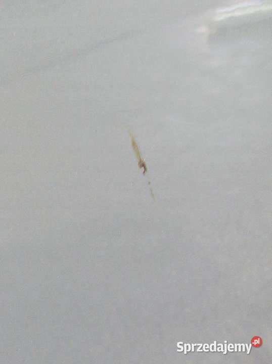 DRZWI PRAWE TYŁ ELD Peugeot 2008 II 2019