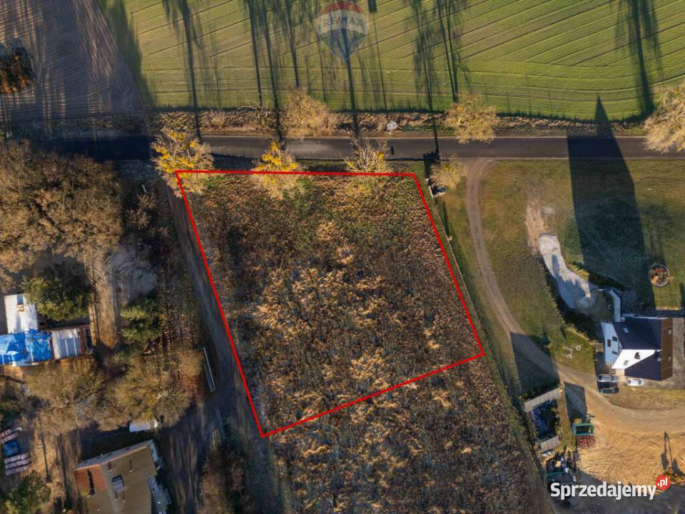 Działka budowlana 20 min Poznania A2 Buk Sprzedaż Brzoza