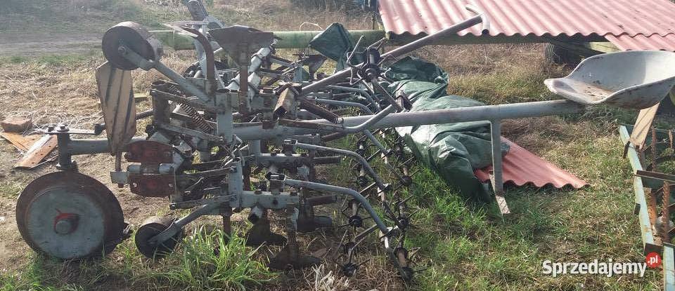 Pielnik siedmiorzędowy Mąkowarsko