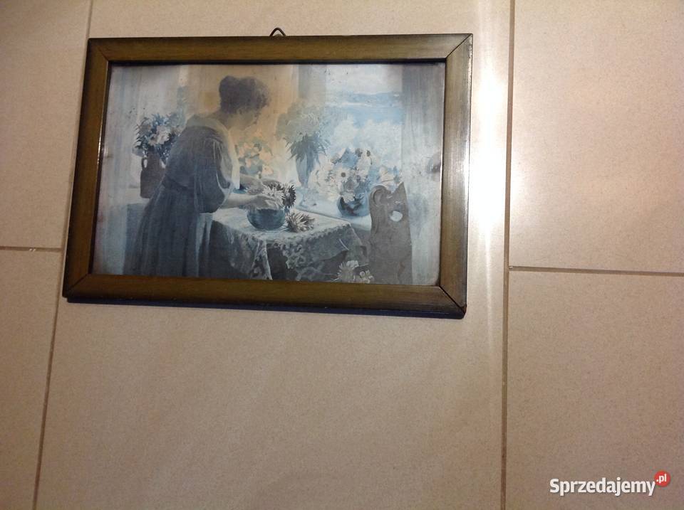 Stary Obraz Obrazek Arenz 1908 Sygnowany Nowa Sól