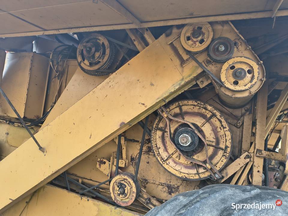 Bizon z056 Stanisławów