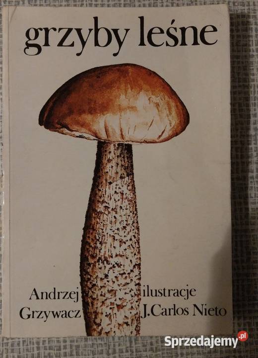 Grzyby leśne Grzywacz Carlos Nieto wysyłka Warszawa