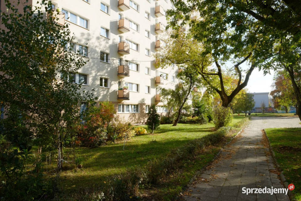 wynajmu mieszkania 4143m2 2 pokoje Warszawa Wynajem