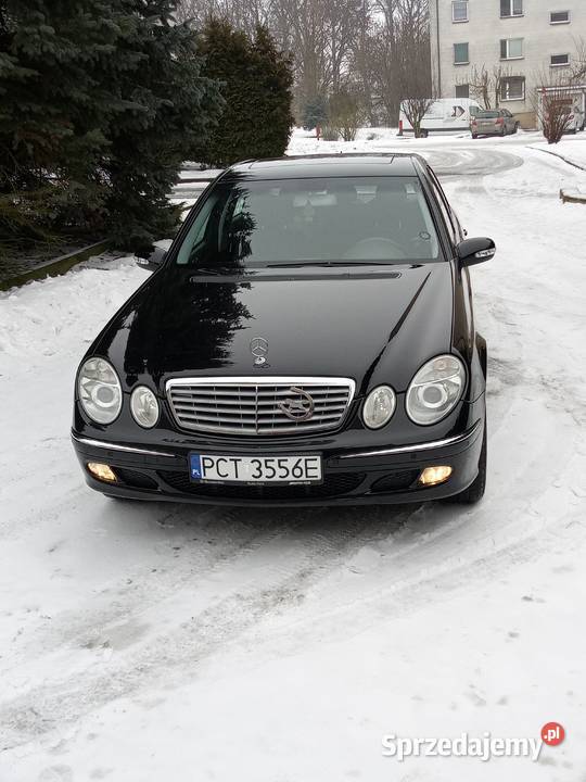 sprzedam Mercedesa W211 22 CDI 2200cm3 Czarnków sprzedam